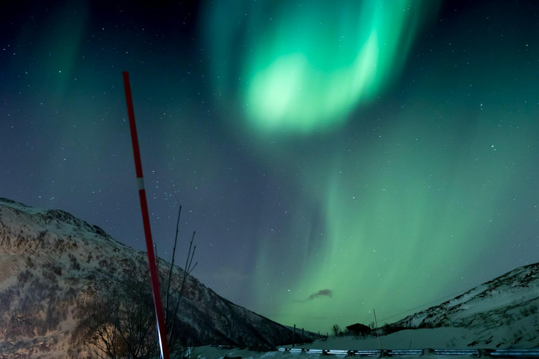Tromsø: Private Aurora Chase: Personalized Hunt with a Local Group of 1-4 Guests
