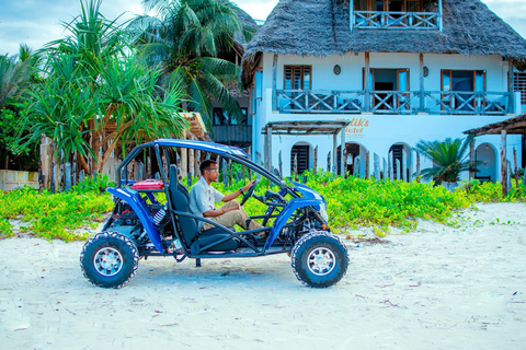 مغامرة عربات التي تجرها الدواب في جنوب زنجبار