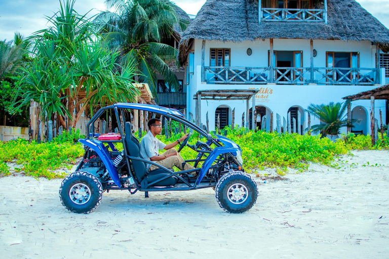 مغامرة عربات التي تجرها الدواب في جنوب زنجبار