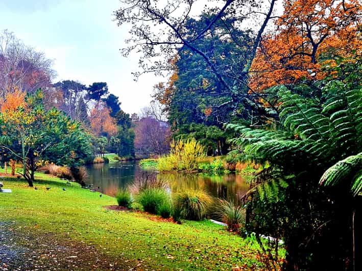 Christchurch City Highlights Half Day Tour | GetYourGuide