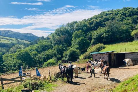 San Sebastian: Horseback Riding & Traditional Delights