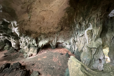 Depuis Puerto Princesa : Visite de la grotte de Tabon avec déjeunerAccès au musée avec déjeuner