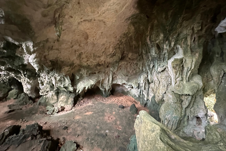 Depuis Puerto Princesa : Visite de la grotte de Tabon avec déjeunerAccès au musée avec déjeuner