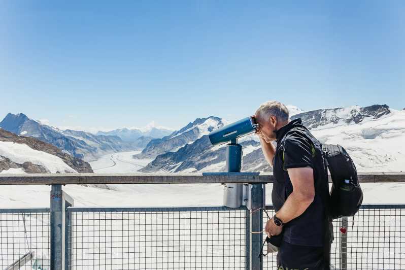 Van Zürich: begeleide dagtocht naar Jungfraujoch met treinrit
