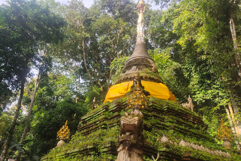 Lever de soleil spirituel : Wat Pha lat , aumônes, méditation et chants