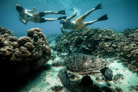 De Gili Air : Snorkeling com tartarugas e estátua subaquáticaViagem privada de snorkeling - 4 horas