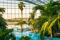 Бухарест, входной билет Therme Bucuresti с халатом - Housity
