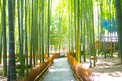 From Tokyo: Kamakura Private Tour with Great Buddha & Bamboo