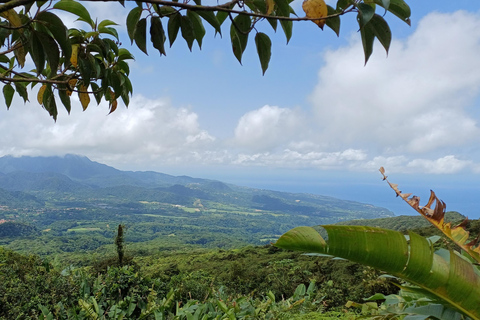 Circuit à la découverte de la Martinique : le Nord Caraïbe