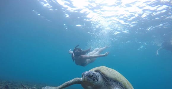 Koh Samui: Koh Tao & Koh Nang Yuan Snorkel Trip with Lunch