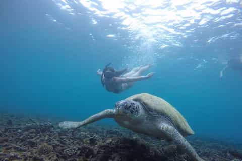 Koh Samui: Koh Tao & Koh Nang Yuan Snorkel Trip with Lunch - Image 3