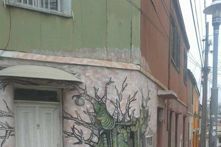 Rondleiding door straatkunstcultuur in Valparaíso en Viña del Mar