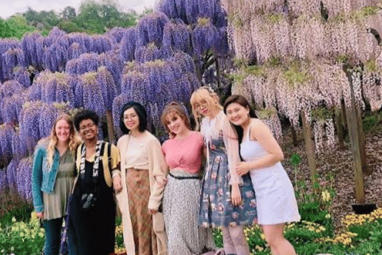 From Tokyo: Ashikaga Flower Park Day Trip with English Guide Ashikaga Full Day Private Customized Tour With English Guide