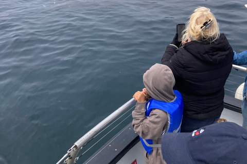 Morro Bay: Whale Watching with Lost Isle Adventures