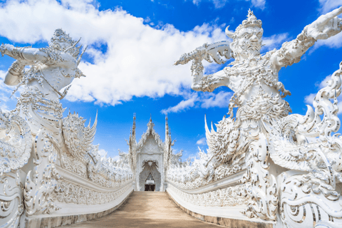 Chiang Mai: Excursão às plantações de chá de Chiang Rai e Doi Mae Salong