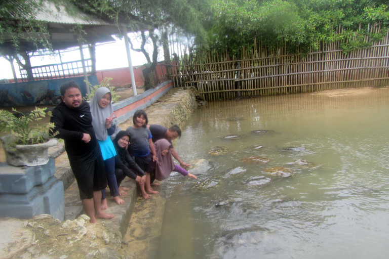 Bali: Ervaring met boot met glazen bodem naar SchildpaddeneilandBoot met glazen bodem naar Schildpaddeneiland met pick-up