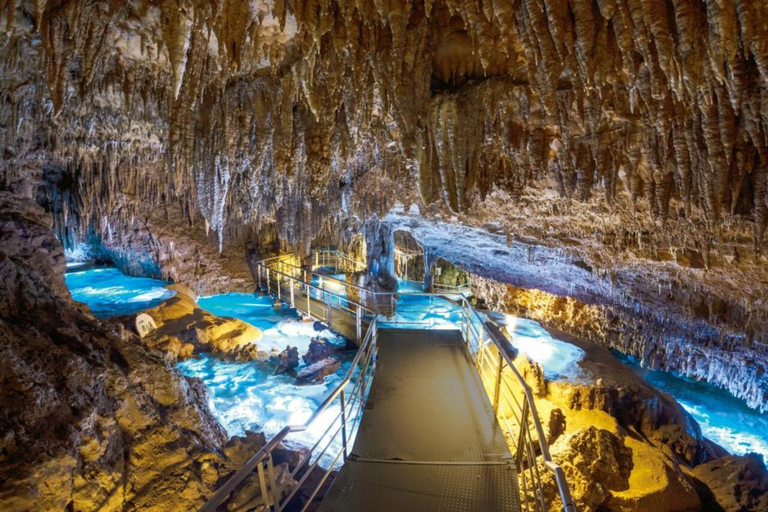 那霸：冲绳南部，风光旖旎，采摘乐趣，烧烤午餐那霸：冲绳南部，观景，采摘水果，烧烤午餐