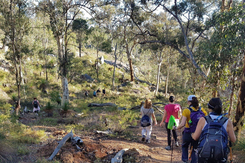 Perth: Caminhada de resistência no riacho Piesse