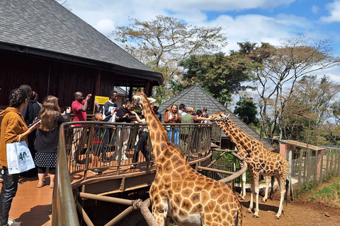 Excursion d&#039;une demi-journée à l&#039;orphelinat des éléphants et au centre des girafes