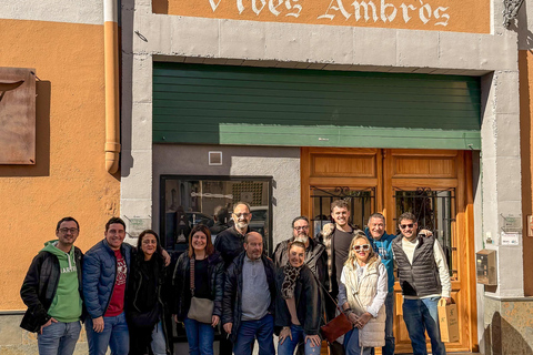Tarragona: Tour of an underground winery with a tasting of 6 cavas and 6 wines Guided visit in English