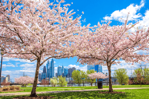 From New York: Philadelphia Cherry Blossom 1-Day Trip