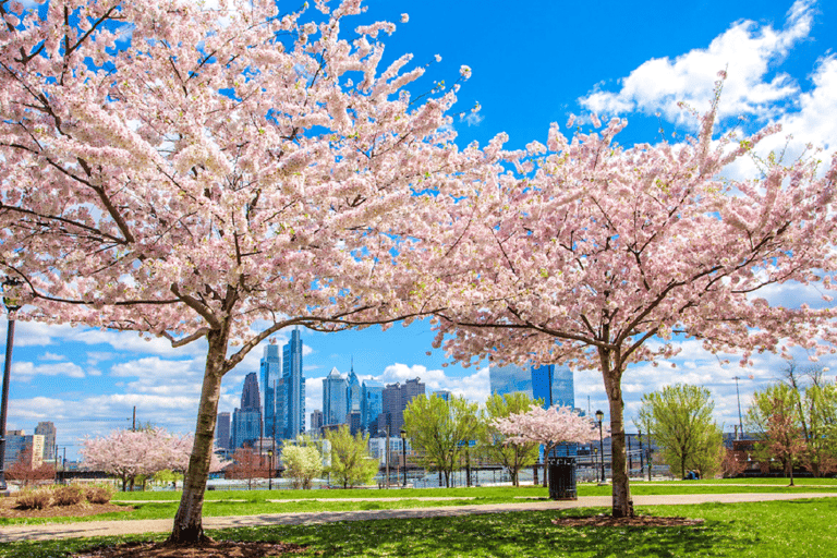 From New York: Philadelphia Cherry Blossom 1-Day Trip
