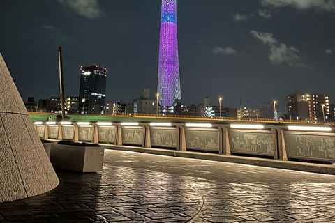 Tokyo Private Sightseeing Tour Customizable with Guide