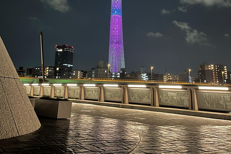 Tokyo Private Sightseeing Tour Customizable with Guide