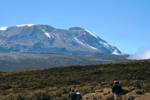 1-Day Shira Plateau-Kilimanjaro Hiking