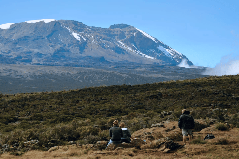 1-Day Shira Plateau-Kilimanjaro Hiking
