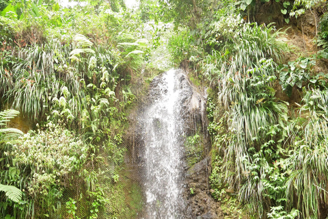 Wycieczka łodzią motorową All Inclusive do Soufriere