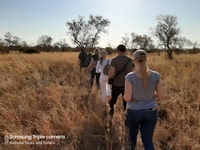 Dinokengゲームリザーブハーフデイサファリ - Housity