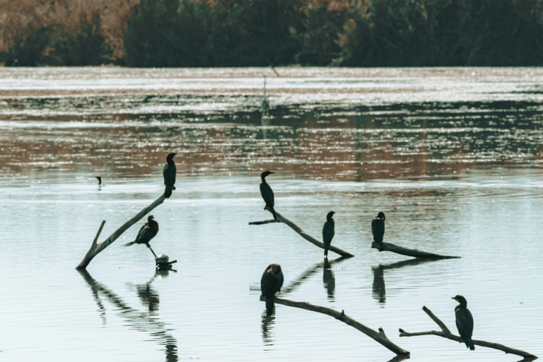 From Delhi: 2-Day Jim Corbett Wildlife Safari Tour by Car From Delhi: 2-Day Jim Corbett Wildlife Safari Tour by Car