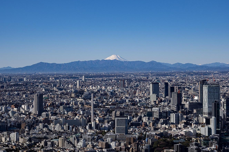 Roppongi Hills Observatory Tokyo: Biljett till Roppongi Hills observatoriumTokyo: Roppongi Hills Observatory biljett