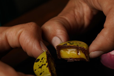 Chocolate Tasting Experience in Panama City - Casco Antiguo Chocolate Tasting Experience with Museum Entry