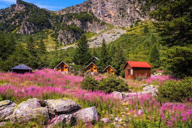 From Sofia: Rila Mountain - Easy Hike & Optional Local Lunch From Sofia: Rila Mountain - Shared Group Option