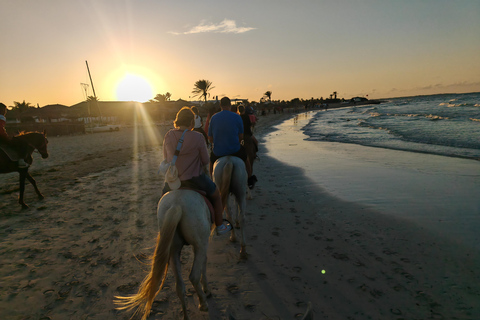 杰尔巴岛：在蓝色泻湖骑骆驼和骑马。杰尔巴：蓝色泻湖骑骆驼和骑马之旅。