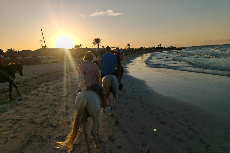 杰尔巴岛：在蓝色泻湖骑骆驼和骑马。杰尔巴：蓝色泻湖骑骆驼和骑马之旅。