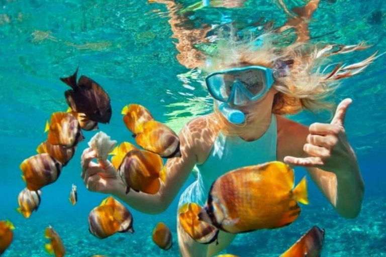 Zanzibar: snorkeling all'Atollo di Mnemba, tour del villaggio e di Stone TownZanzibar: snorkeling all'Atollo di Mnemba, villaggio e Città di Pietra