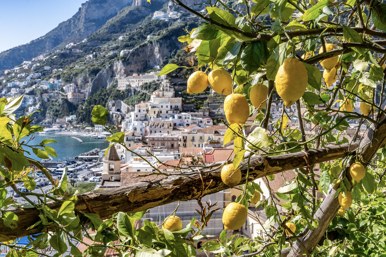 Enter the panoramic lemon grove of Amalfi with an aperitif