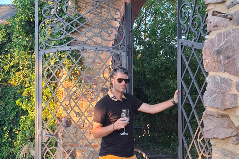 Rheingau: Wine Tour with Tasting