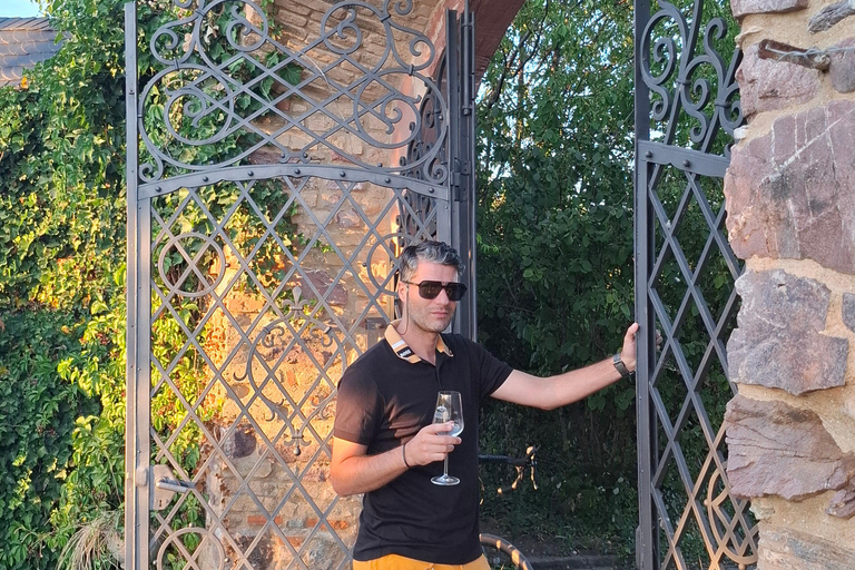 Rheingau: Wine Tour with Tasting