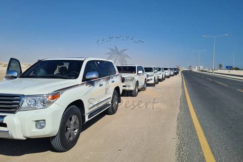 Doha: Full Day Desert Safari, BBQ Dinner, and Stargazing