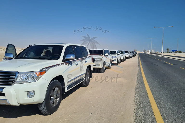 Doha: Full Day Desert Safari, BBQ Dinner, and Stargazing