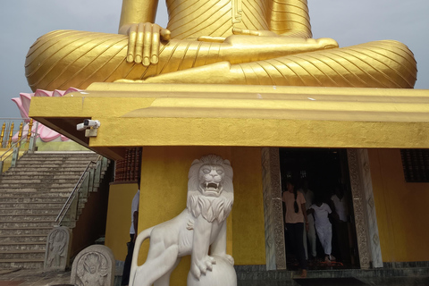 Colombo to Bentota Day Tour