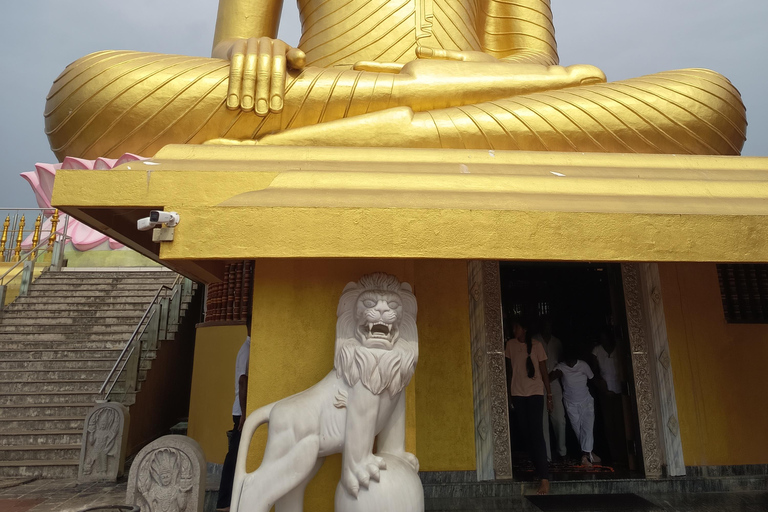 Colombo to Bentota Day Tour