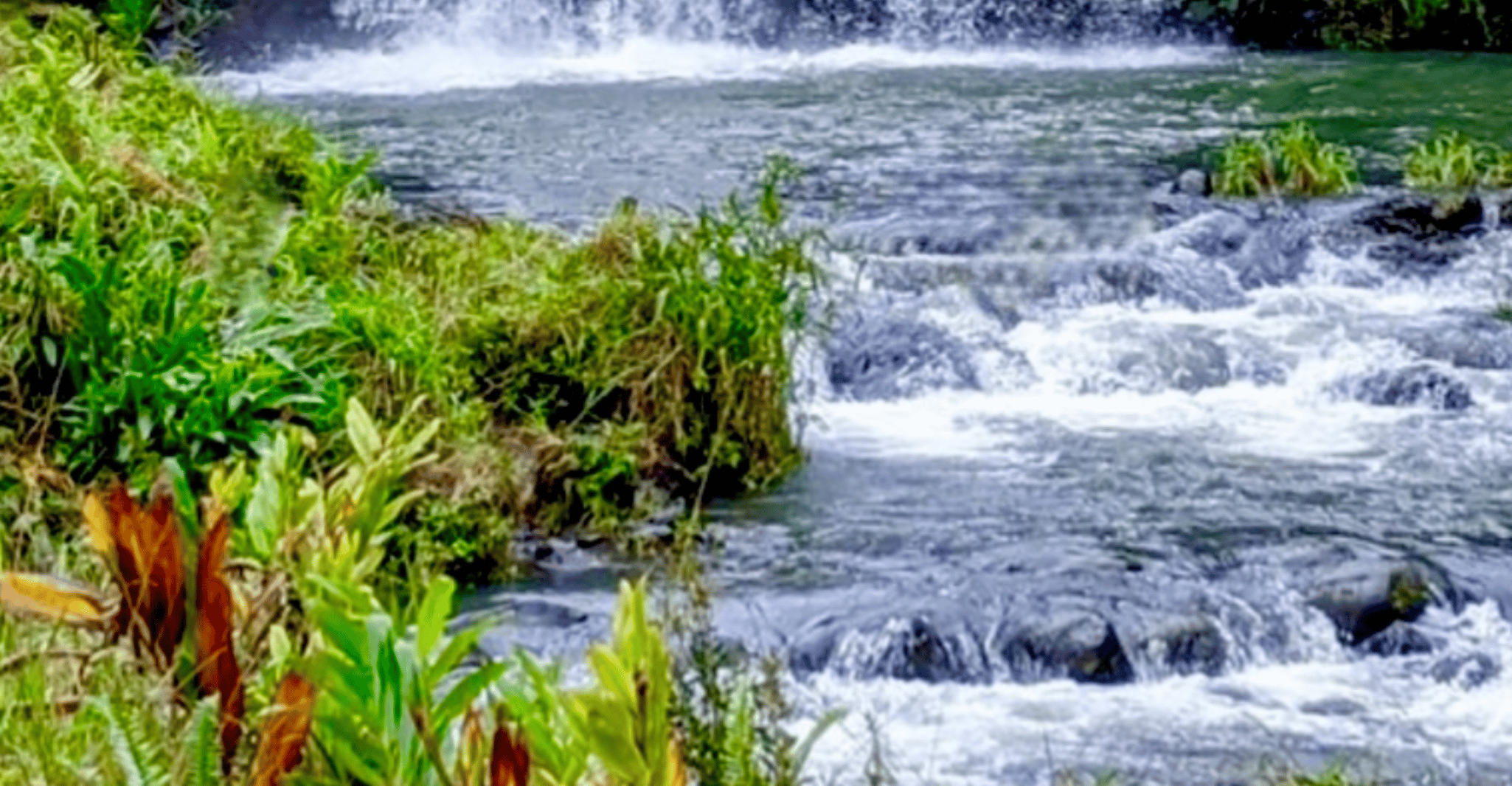 Maui, Small-Group Road to Hāna Sightseeing Tour - Housity
