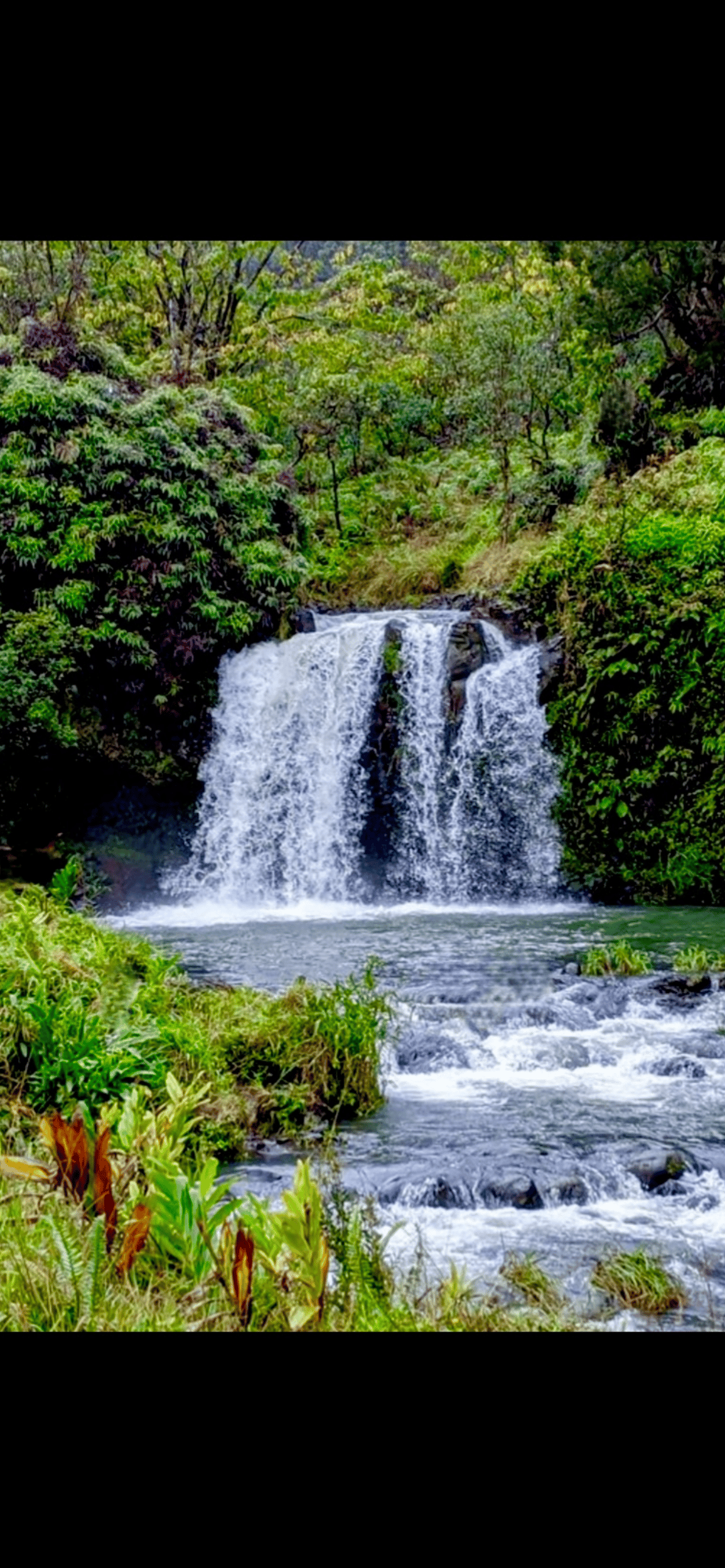 Maui: Kleingruppentour auf der Straße nach Hāna Sightseeingtour
