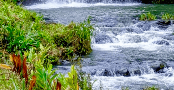 Maui: Small-Group Road to Hāna Sightseeing Tour