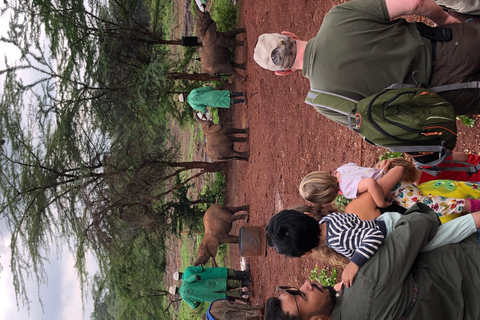 Nairobi-tour naar Nationaal Park, olifanten- en giraffencentrum.